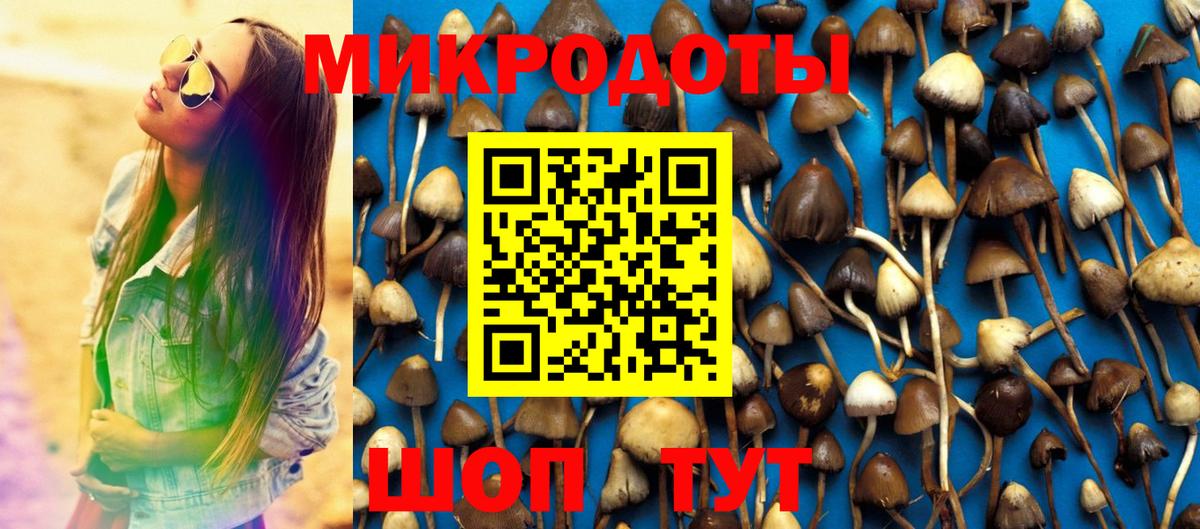 Галлюциногенные грибы Psilocybine cubensis Батайск