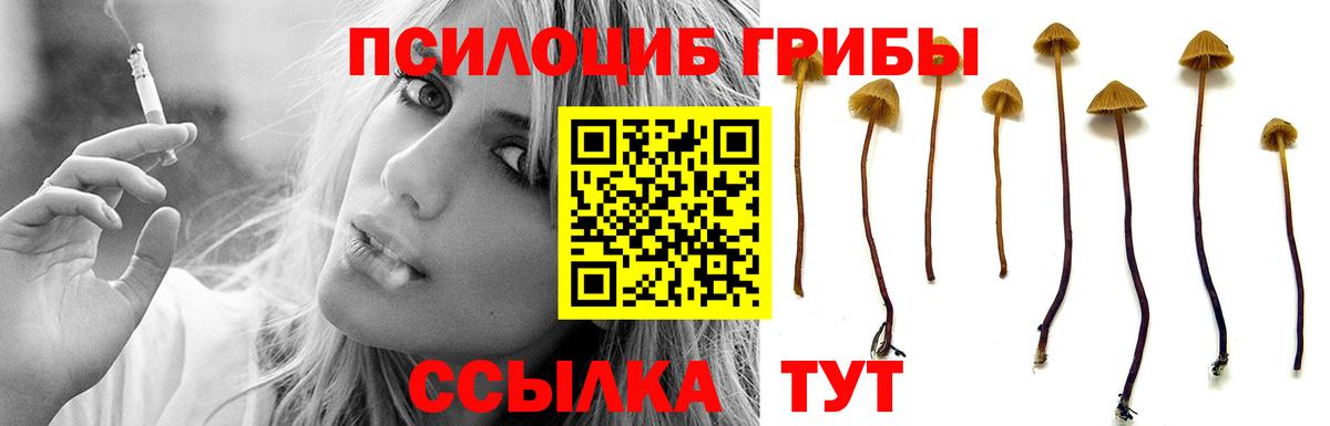 Псилоцибиновые грибы GOLDEN TEACHER Батайск